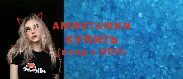 индика Алексин