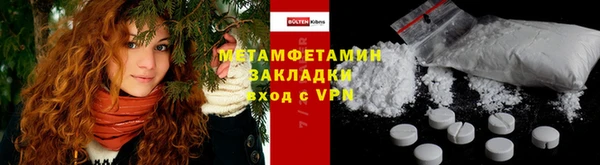 индика Алексин