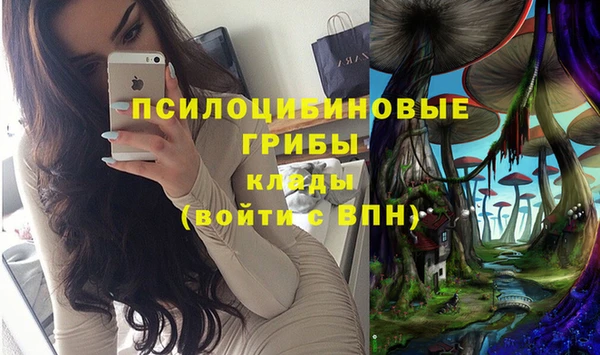 молекула духа Алзамай