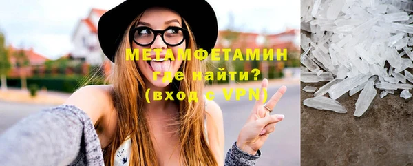 индика Алексин