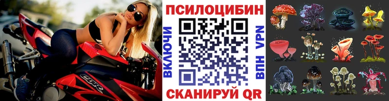 Псилоцибиновые грибы мухоморы  купить закладку  Сунжа 