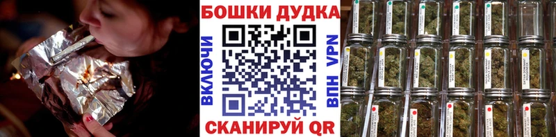 Шишки марихуана OG Kush Сунжа